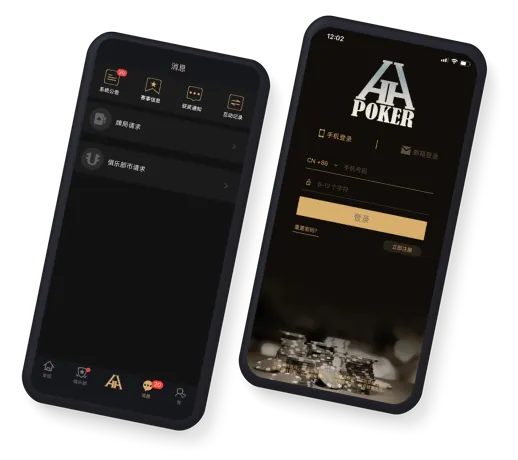 hhHHpoker 专业界面